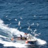 4 David Roberts Fishing with Gulls