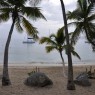 40 Chris Smith  BVI_Paradise