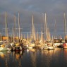 8 Richard Bird Milford marina